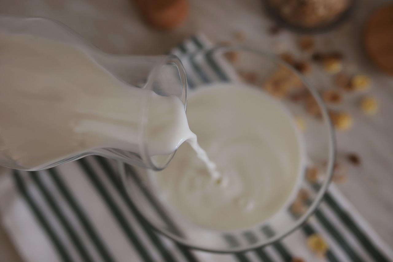 GEZONDE KAAS ZONDER ETHIEK EN CHEMICALEN: 2 liter melk maakt 1 kg heerlijke kaas - het hele gezin is er dol op!