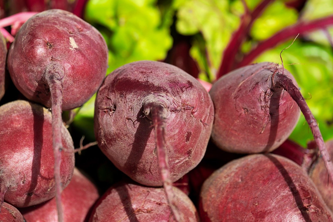 Geroosterde bieten met knoflook: Eet dit als je wilt afvallen!