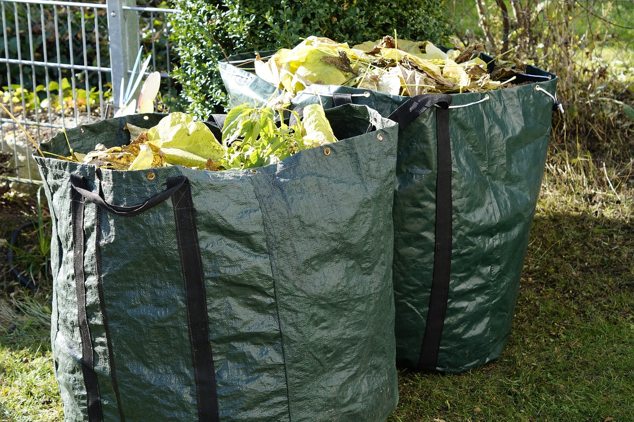 Zaailingen schieten binnen een week uit de grond: een briljante verbeteraar voor het planten van wortelen, radijsjes en uien in de tuin!