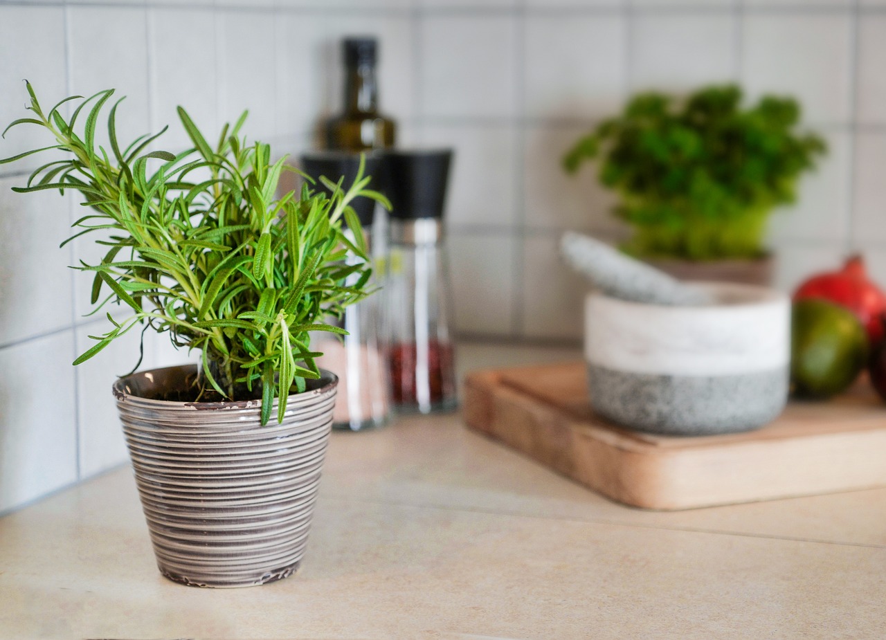 TRICK hoe je NATUURLIJK van ratten en muizen in huis afkomt met tandpasta: ze zullen niet meer in de buurt van het huis komen!