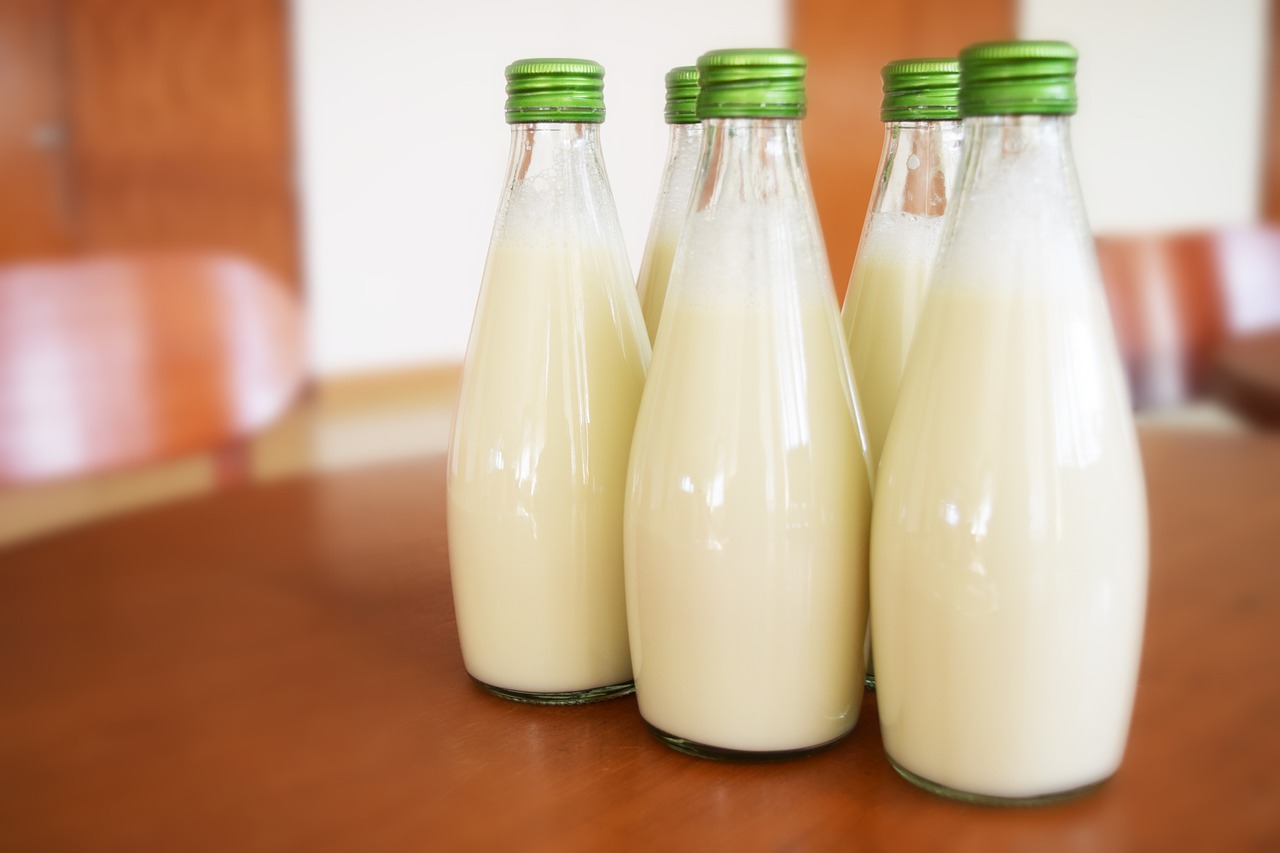 GEZONDE KAAS ZONDER ETHIEK EN CHEMICALEN: 2 liter melk maakt 1 kg heerlijke kaas - het hele gezin is er dol op!