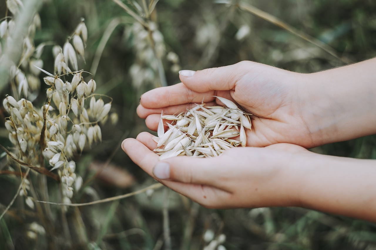 Vergeet duur eten, gewone havermout is een wonder: 17 toprecepten die je figuur en gezondheid verbeteren!