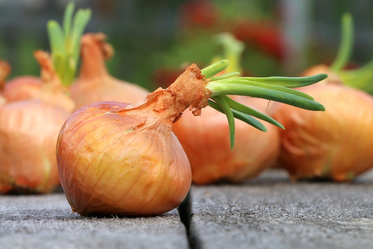 Snijd een ui in plakjes en doe deze op deze manier in de thee: 100 jaar oud geneeskrachtig recept!