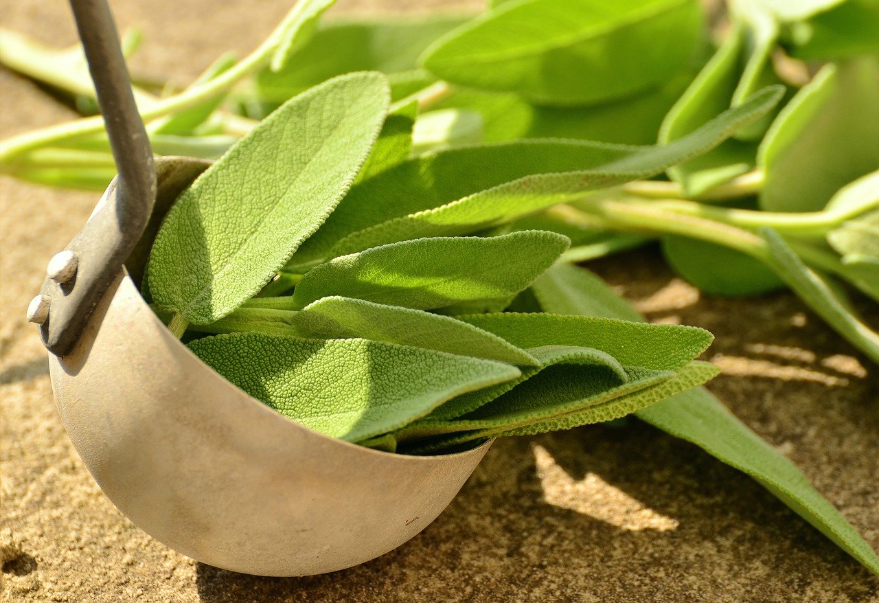 Er is maar EEN plant in de natuur die alles geneest behalve de dood, leerde mijn oma me: Niet iedereen weet het!