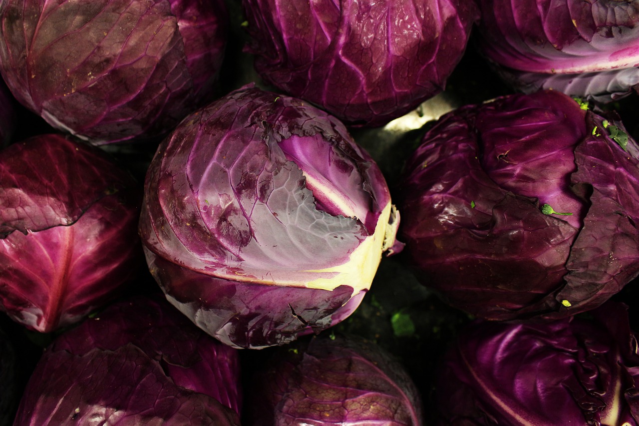 Wij houden meer van kool dan van aardappelen en rijst: het zeldzaamste RECIPE voor gestoofde rode kool volgens een oud kookboek van Grob!