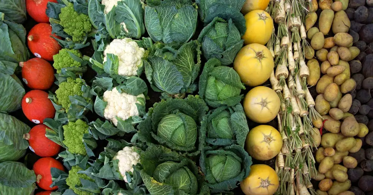 Aardappel Anders Recepten: Simpel & Smaakvol!