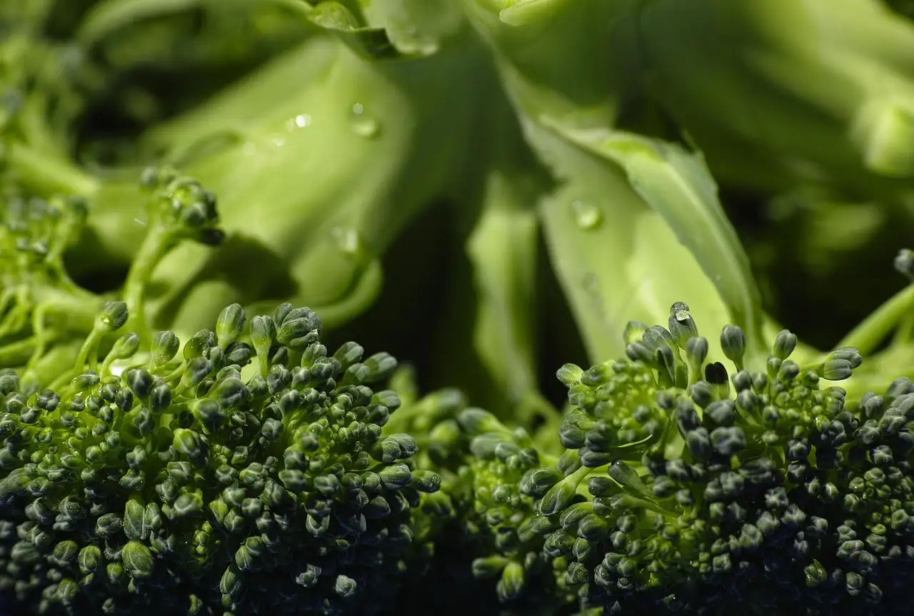 Broccoli en bloemkool recept: lekker & gezond koken!