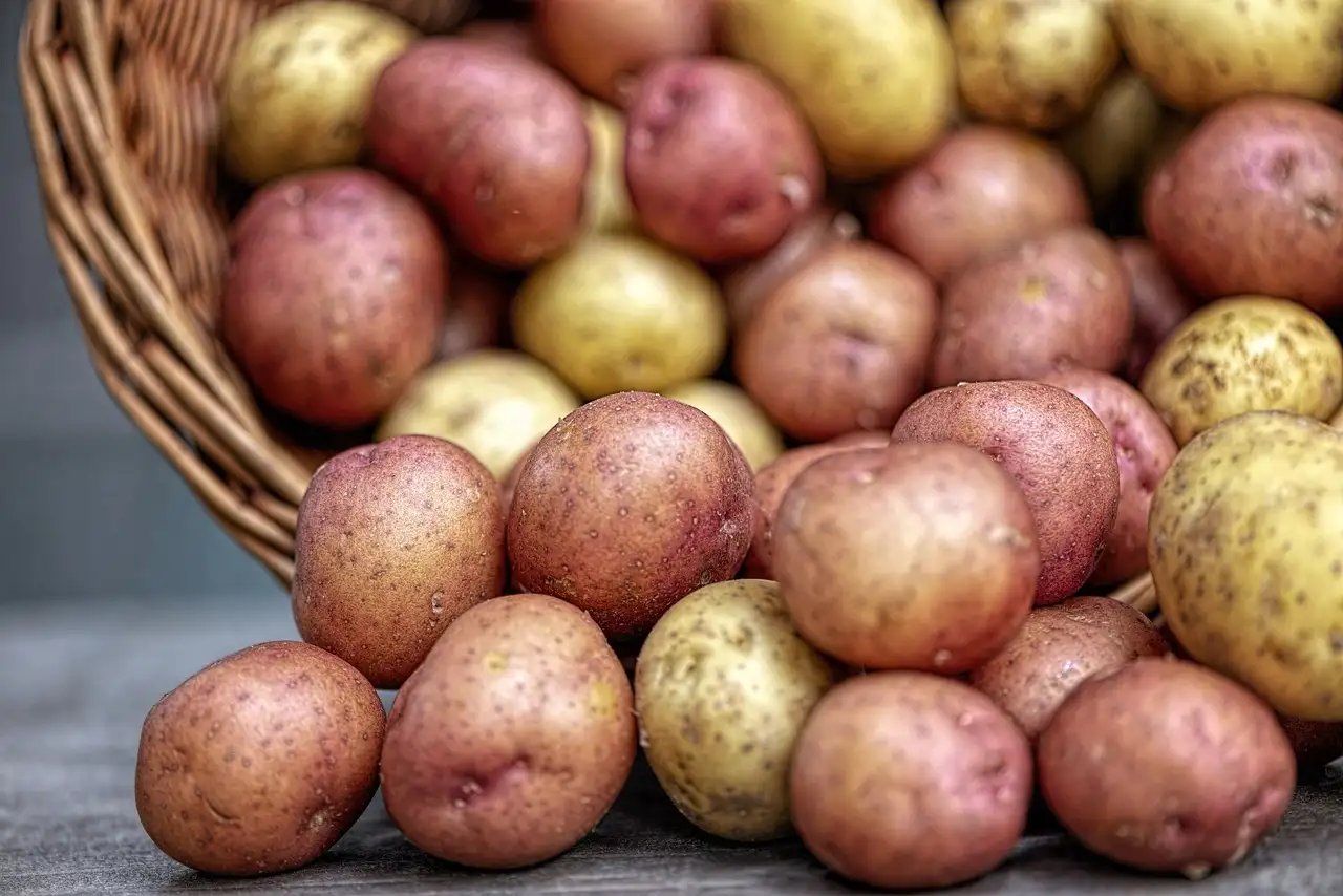 Recept: Spinazie met aardappelen | Simpel & Smaakvol