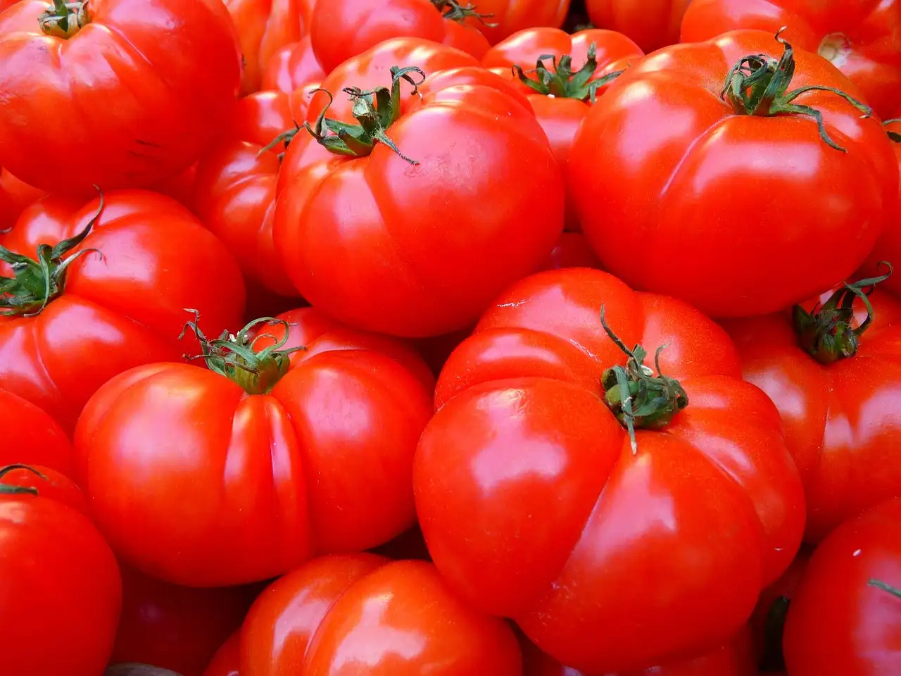 Tomatensaus recept: eenvoudig met gepelde tomaten maken