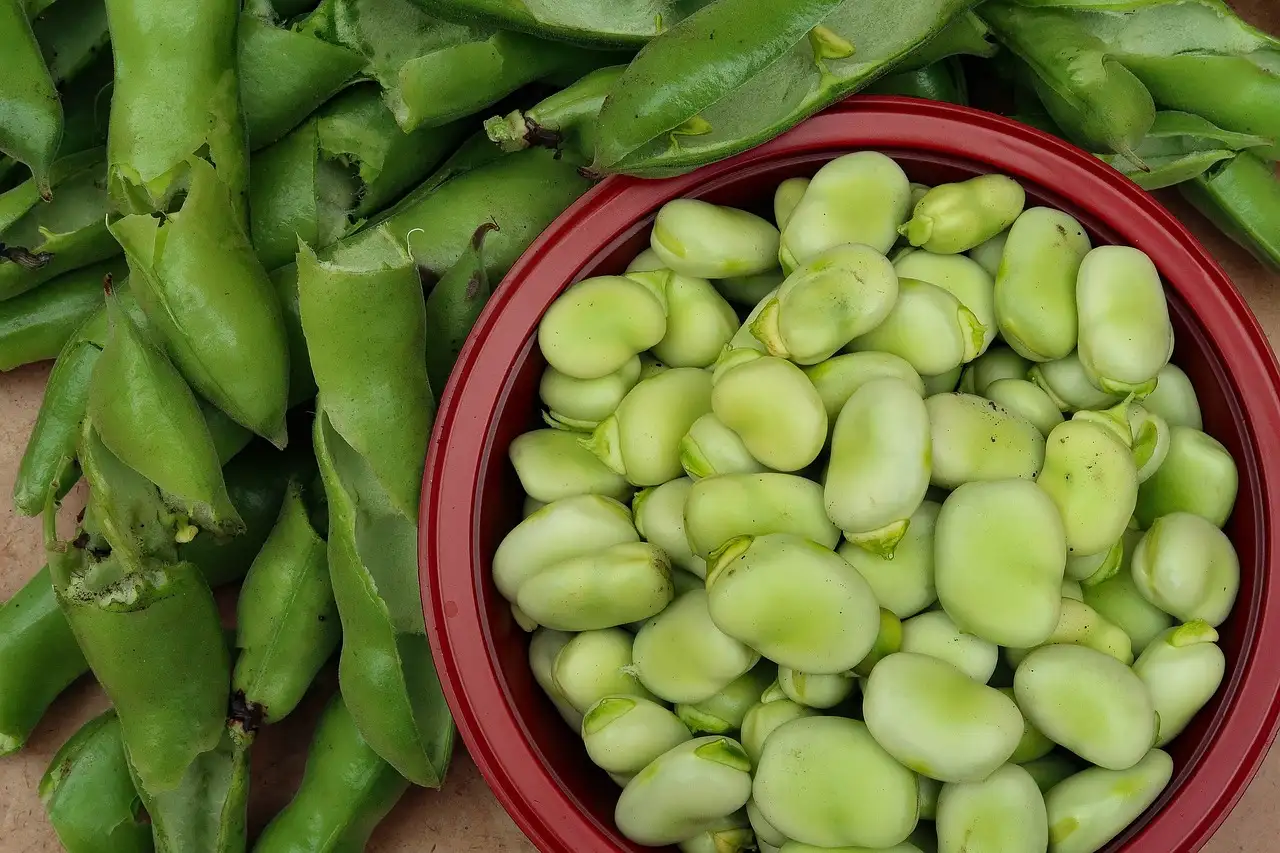Tuinbonen met Spekjes & Mosterdsaus: Heerlijk Recept!