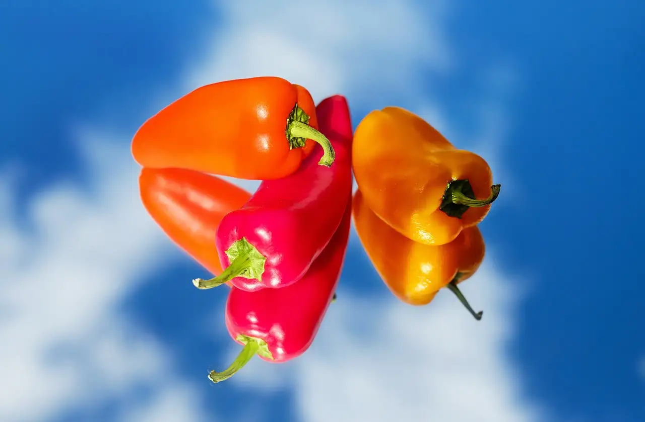Wortelsoep met paprika recept: eenvoudig & smaakvol!