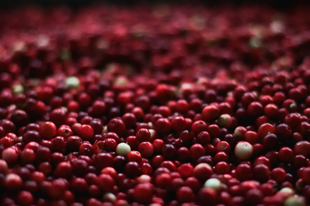 Zuurkool met Cranberries Recept | Makkelijk & Heerlijk!